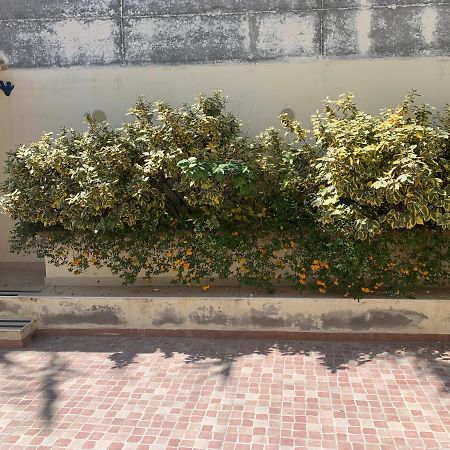 Mari-Mare Home Rodi Garganico Kültér fotó